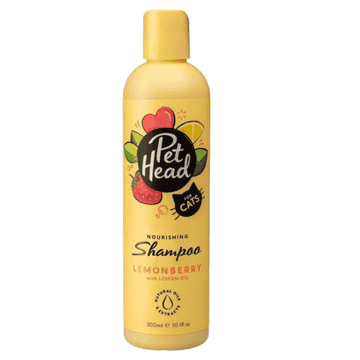 Dry Clean - Shampoo