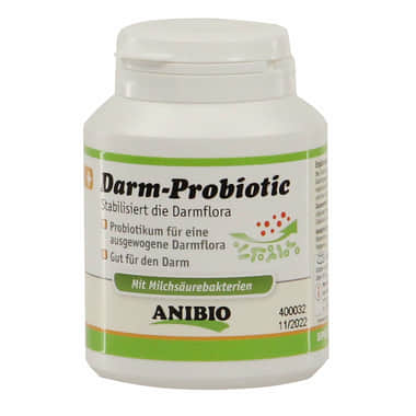 Darm-Probiotic
