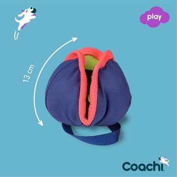 Chase &amp; Treat dog toy