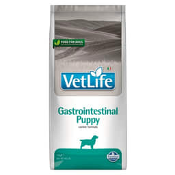 Canine Puppy Gastrointestinal