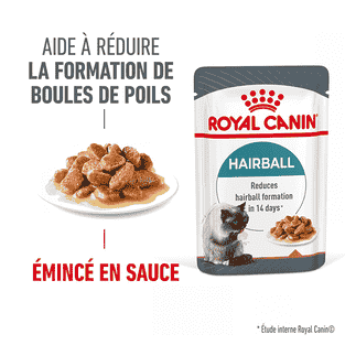 Hairball Care Gravy - Sachet