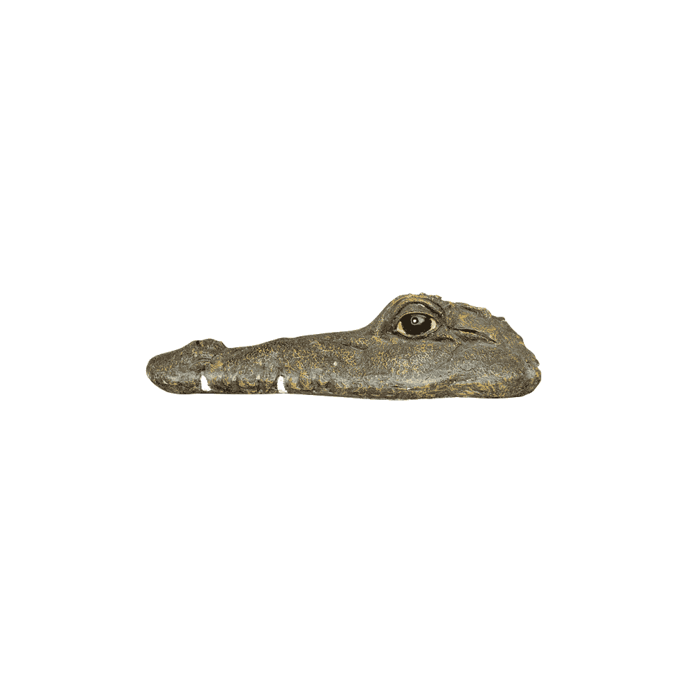 Tête de crocodile flottante