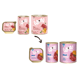 Junior, Rind mit Kürbis