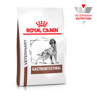 Gastrointestinal Dog