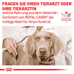 Gastrointestinal Moderate Calorie Dog