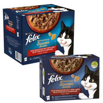 Sensations Geschmacksvielfalt vom Land Fleisch in Sauce Katze