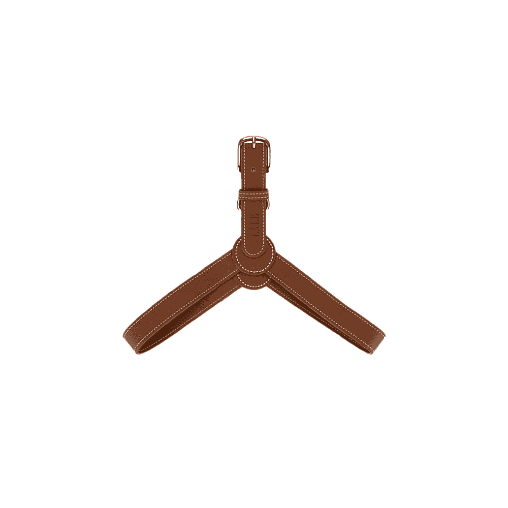 Signature Leather Harness