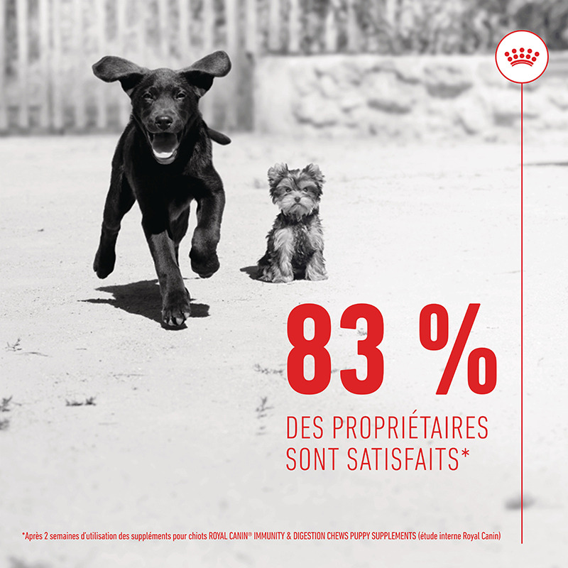 Immunity & Digestion Chews Puppy Supplements