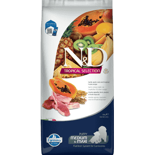 Puppy Medium/Maxi Lamm