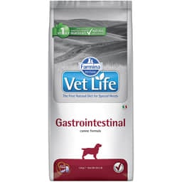 Canine Gastrointestinal