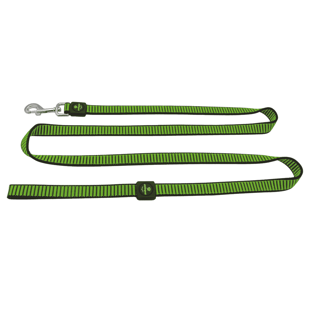 swisspet Citydog leash, L