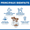 Puppy Small & Mini Breed