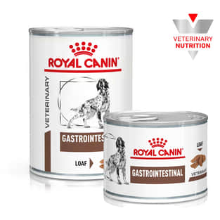 Gastrointestinal - Dose
