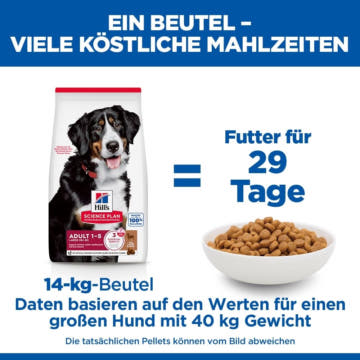 Canine Adult Large Breed Lamb & Rice