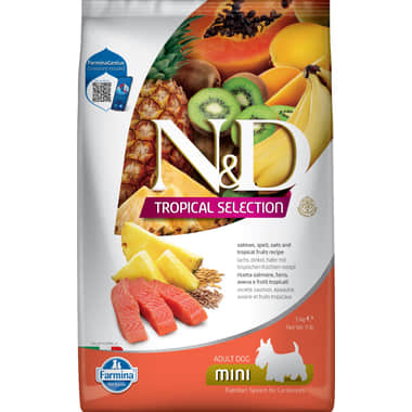 Canine Adult Mini Lachs