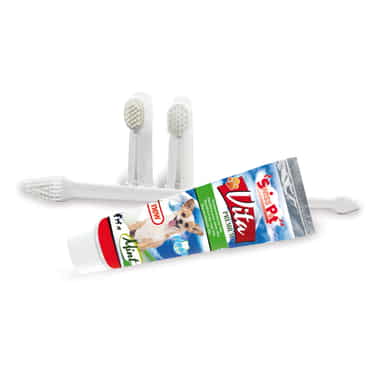 Zahnpflege Set Deluxe