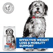 Canine Perfect Weight + Active Mobility Medium Breed