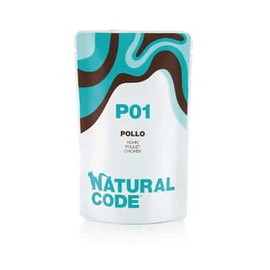 P01 Adult Cat Huhn