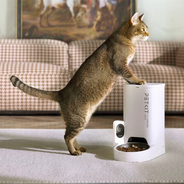 Yumshare Solo Smart Pet Feeder avec caméra