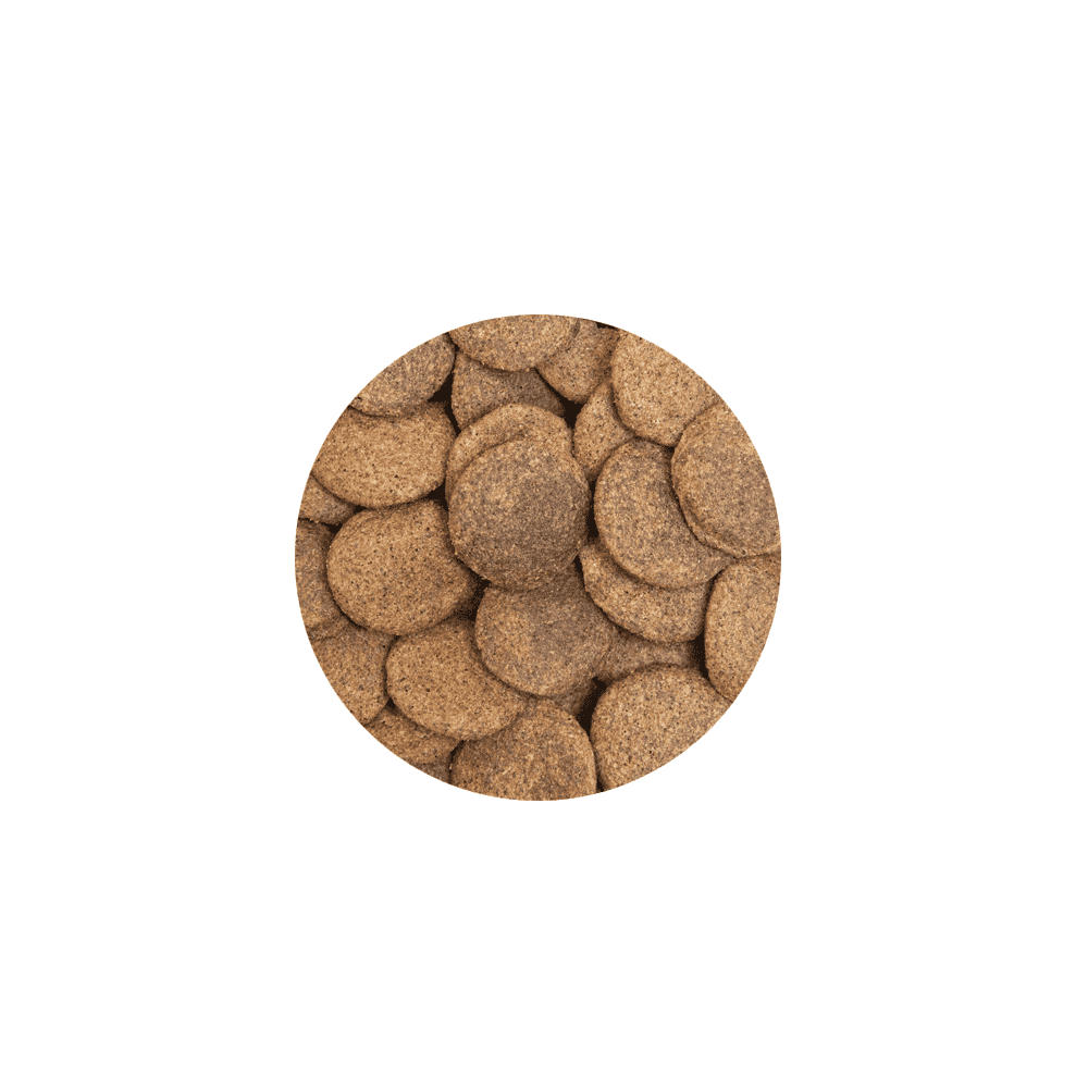 Snacks Hanzam