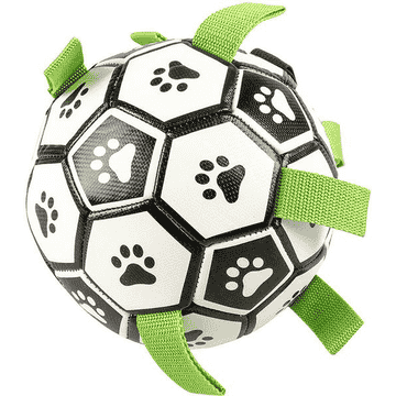 Hundefussball