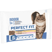 Indoor 1+ Huhn & Lachs