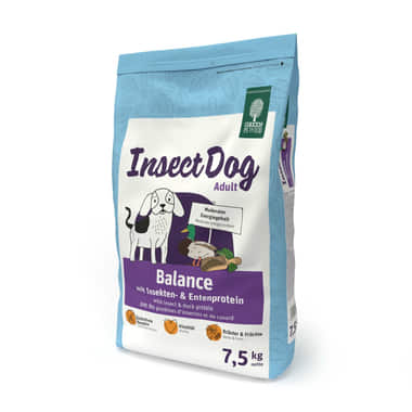 InsectDog Balance