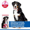 Canine Adult Large Breed Lamb & Rice