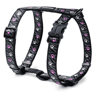 Asti Glow Harnais pour chien