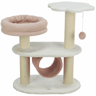 Isabella cat scratcher
