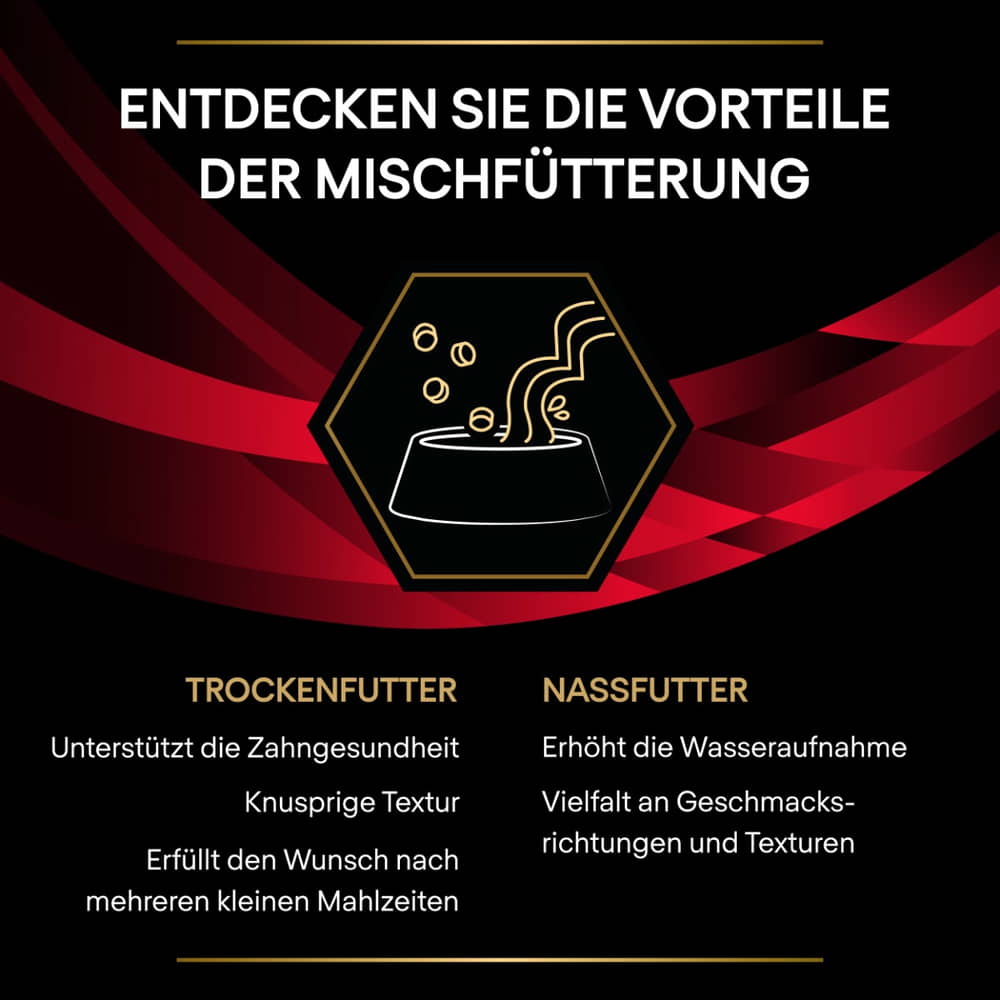 FELINE DM St/Ox Diabetes Management - Frischebeutel