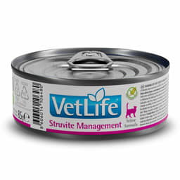 Feline Adult Struvite Management