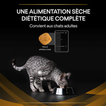 FELINE NF Renal Function Advanced Care