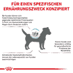 Anallergenic Small Dogs