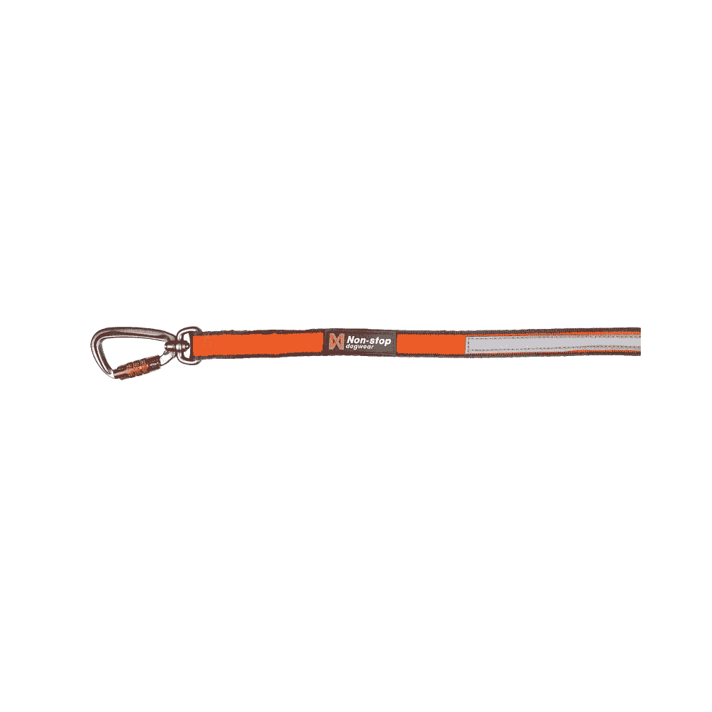 Move Leash Orange
