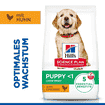 Puppy Large Breed