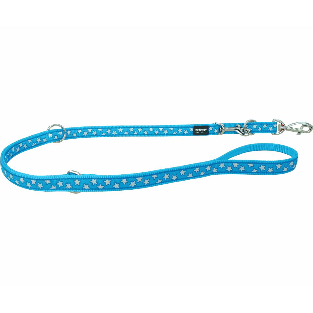Leashes Design White Stars on Turquoise