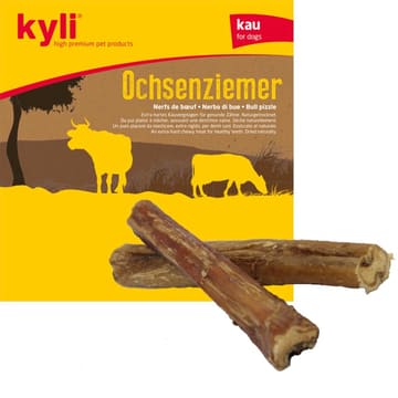 Nerf de boeuf
