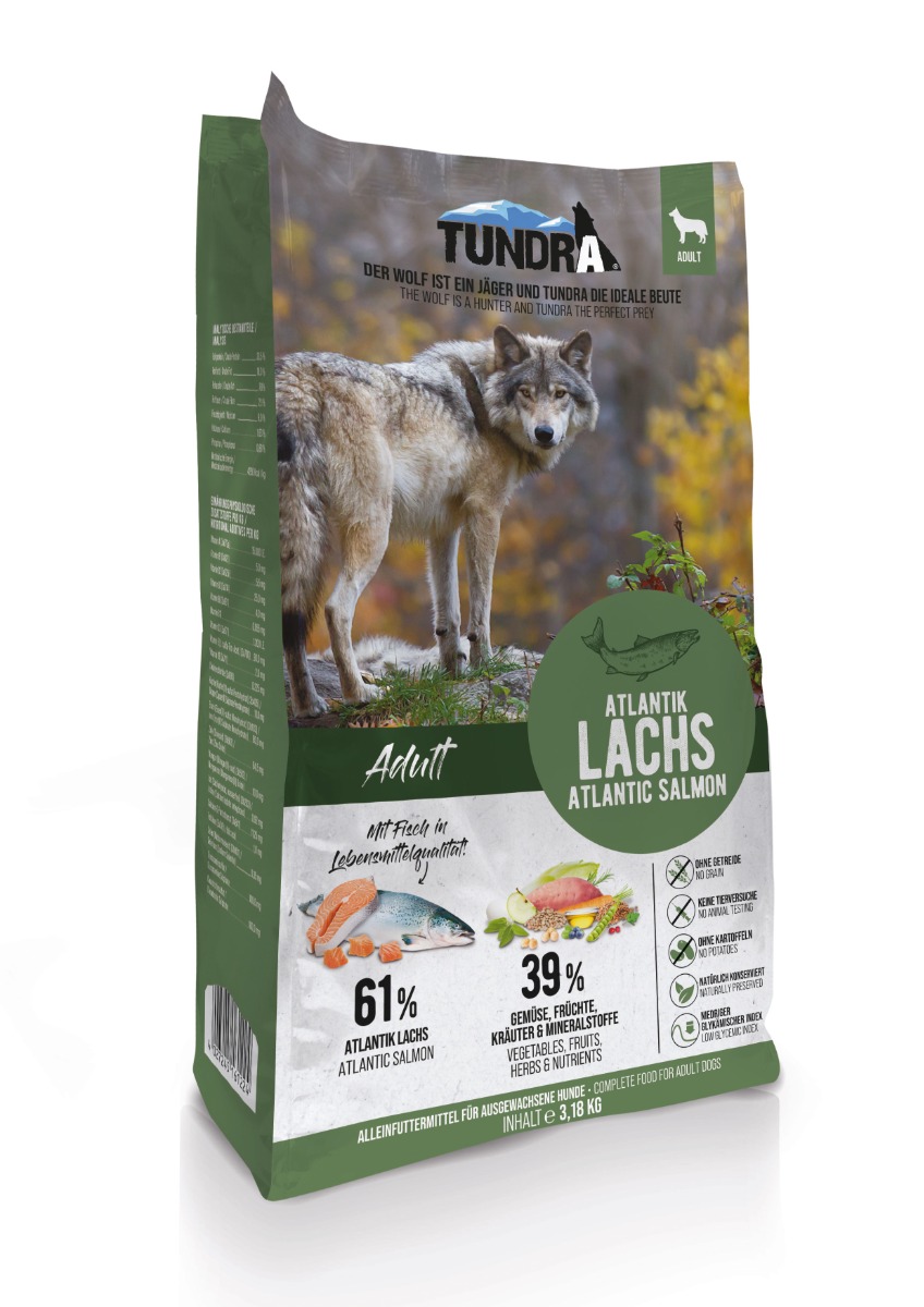 Dog Atlantic Salmon