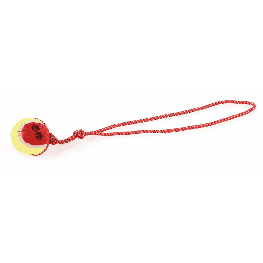 Slingshot ball