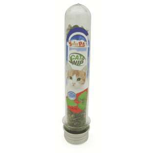 Catnip