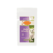 Premium Kitten poulet & saumon sans céréales