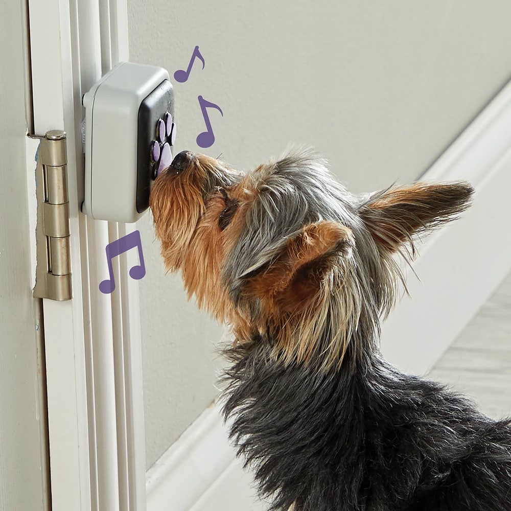 Talking Pet Türklingel für Hunde
