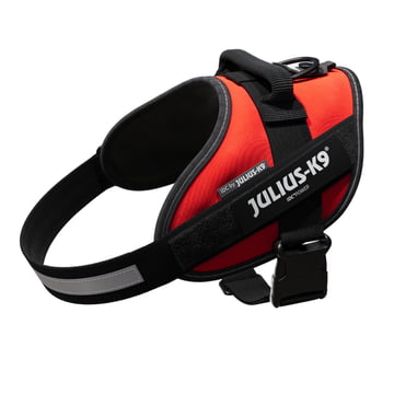 Harnais IDC Power - rouge