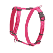 Alpinist XL dog harness