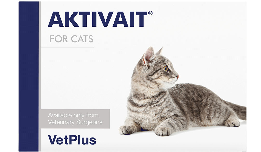AKTIVAIT