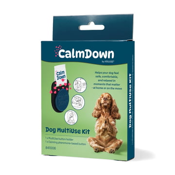 CalmDown Post-Op Button & Velcro Tag for Dogs
