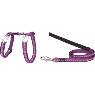 Geschirr & Leine für Katzen Design Daisy Chain XS