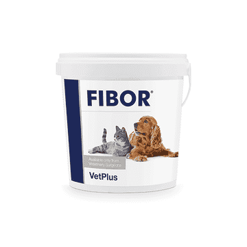 Fibor