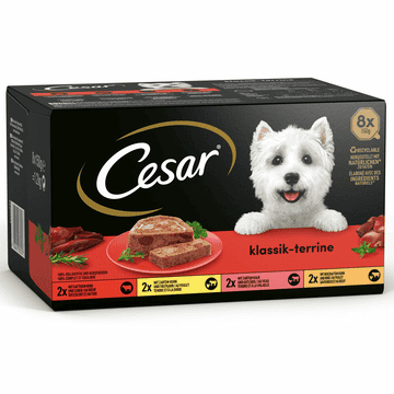 Klassiker in Terrine